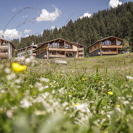 Priva Alpine Lodge レンツァーハイデ エクステリア 写真